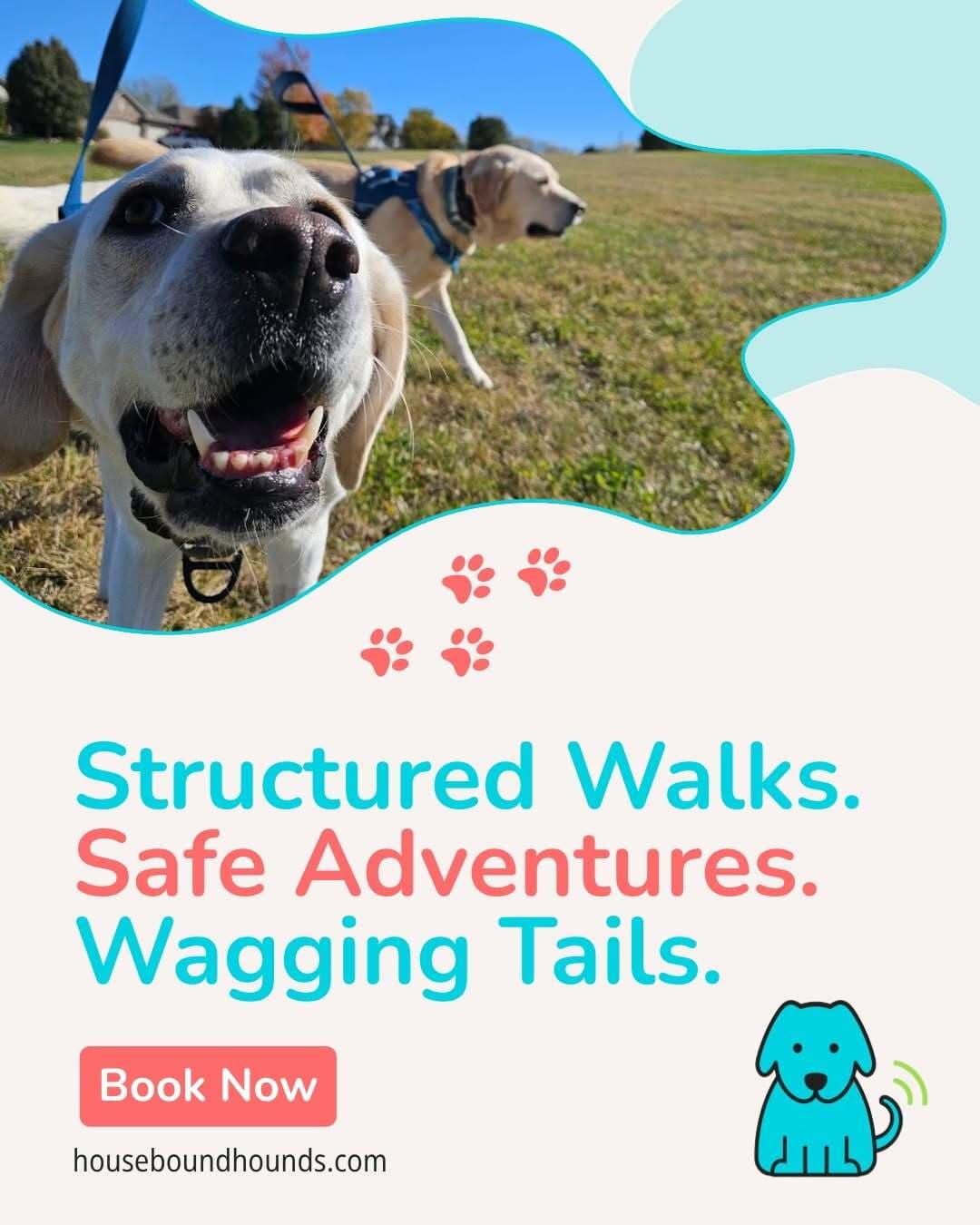 blog post image
